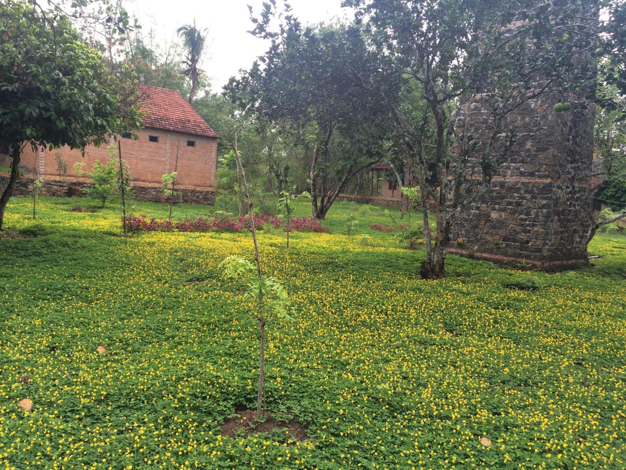 Green Hope Lodge Cát Tiên Rom bilde